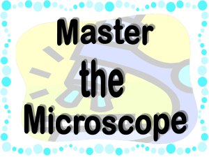 Microscope Master