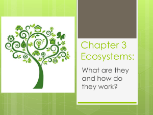 Chapter 3: Ecosystem Ecology