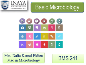 Introduction to Basic microbiology BMS241