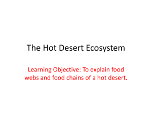 The Hot Desert Ecosystem