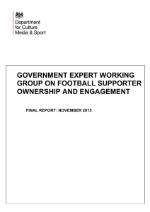 Government expert working group on football supporter