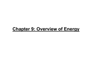 Chapter 9: Cell Respiration