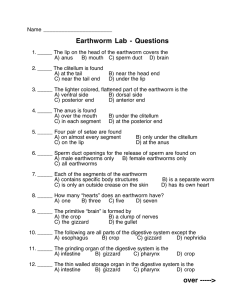Earthworm  Lab  -  Questions