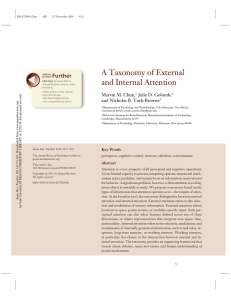 A Taxonomy of External and Internal Attention Further