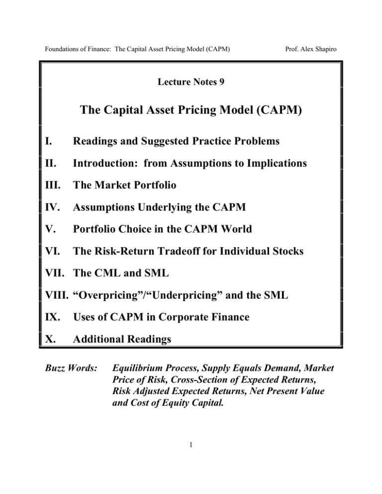 Describe The Capital Asset Pricing Model