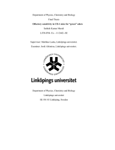 Department of Physics, Chemistry and Biology Final Thesis  LiTH-IFM- Ex—11/2442--SE