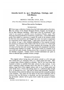 I Amoeba kerrii (n. sp.): Morphology, Cytology, and Life-History BY
