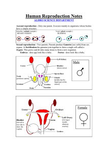 Human Reproduction Notes Male ALDRO SCIENCE DEPARTMENT