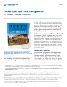 Cockroaches and Their Management 1