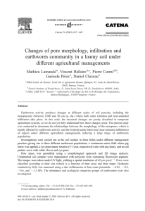 Changes of pore morphology, infiltration and different agricultural managements