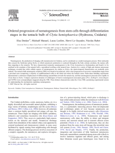 Ordered progression of nematogenesis from stem cells through differentiation