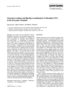 Current Genetics in the fern  genus Osmunda