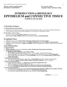 EPITHELIUM and CONNECTIVE TISSUE INTRODUCTION to HISTOLOGY TOPICS OUTLINE