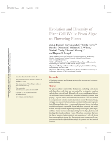 Evolution and Diversity of Plant Cell Walls: From Algae to Flowering Plants