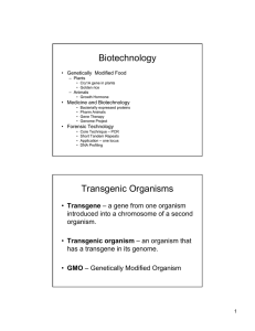 Biotechnology • Genetically  Modified Food • Medicine and Biotechnology – Plants