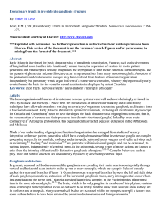 Evolutionary trends in invertebrate ganglionic structure  :