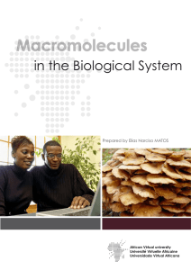 Macromolecules in the Biological System Prepared by Elias Narciso MATOS