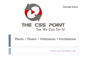 Plants + Flower + Pollination + Fertilization www.css.theazkp.com  Everyday Science