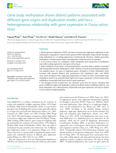 Gene body methylation shows distinct patterns associated with