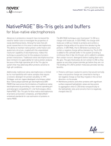 NativePAGE Bis-Tris gels and buffers for blue-native electrophoresis ™
