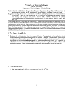 Principles of Enzyme Catalysis