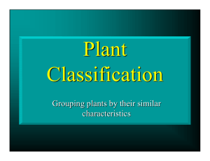 Plant Classification Grouping plants by their similar characteristics