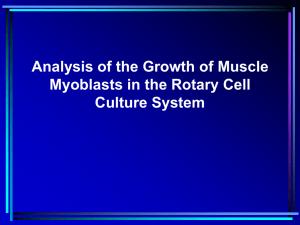 Analysis of the Growth of Muscle Myoblasts in the Rotary Cell