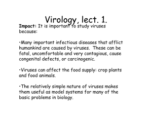 Virology, lect. 1.