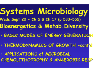 Systems Microbiology Bioenergetics &amp; Metab.Diversity