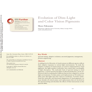 Evolution of Dim-Light and Color Vision Pigments Further