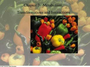 Chapter 7- Metabolism: Transformations and Interactions © 2008 Thomson - Wadsworth
