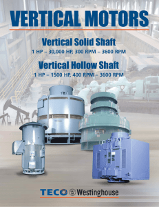 VERTICAL MOTORS Vertical Solid Shaft Vertical Hollow Shaft