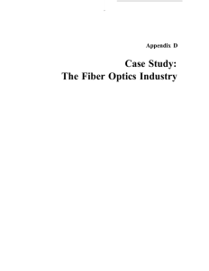 Case Study: The Fiber Optics Industry Appendix D