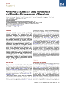 Report Astrocytic Modulation of Sleep Homeostasis and Cognitive Consequences of Sleep Loss Neuron