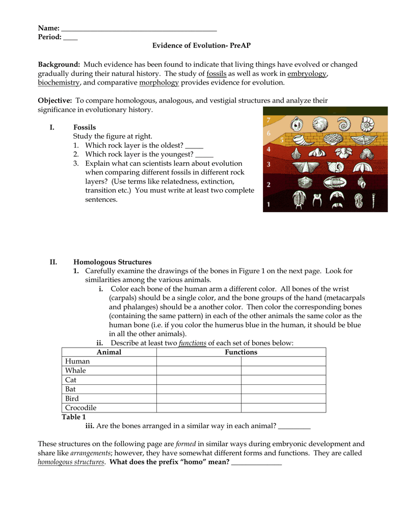 What is biochemical evidence