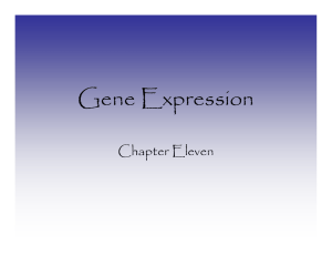 Gene Expression Chapter Eleven
