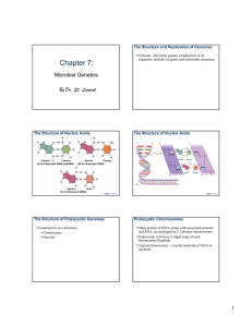 Chapter 7: Microbial Genetics By Dr. St. Laurent