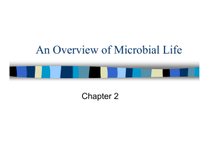 An Overview of Microbial Life Chapter 2