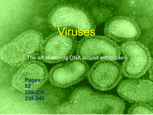 Viruses The art of moving DNA around without sex Pages: 82