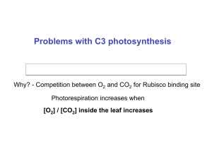 Problems with C3 photosynthesis [O ] / [CO