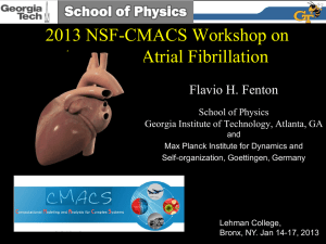 2013 NSF-CMACS Workshop on Flavio H. Fenton School of Physics