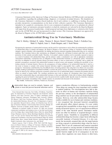 ACVIM Consensus Statement