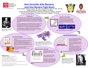 How Penicillin Kills Bacteria (and How Bacteria Fight Back)