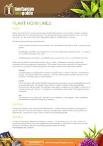 PLANT HORMONES Auxins