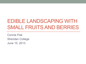 EDIBLE LANDSCAPING WITH SMALL FRUITS AND BERRIES Connie Fisk Sheridan College