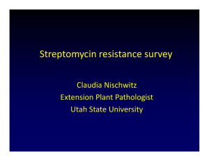 Streptomycin resistance survey Claudia Nischwitz Extension Plant Pathologist Utah State University