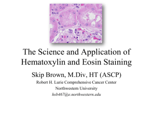 The Science and Application of Hematoxylin and Eosin Staining