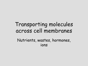 Transporting molecules across cell membranes Nutrients, wastes, hormones, ions