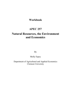 Natural Resources, the Environment and Economics  Workbook