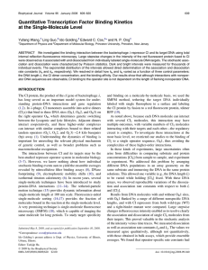 Quantitative Transcription Factor Binding Kinetics at the Single-Molecule Level Yufang Wang, Ling Guo,